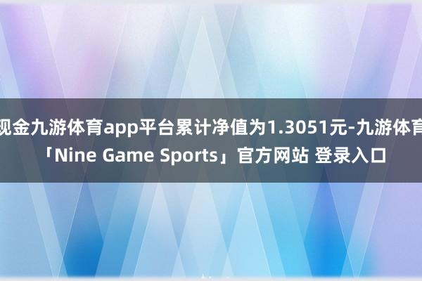现金九游体育app平台累计净值为1.3051元-九游体育「Nine Game Sports」官方网站 登录入口
